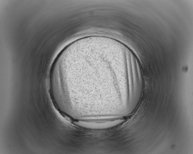 X0000098021531200804251126