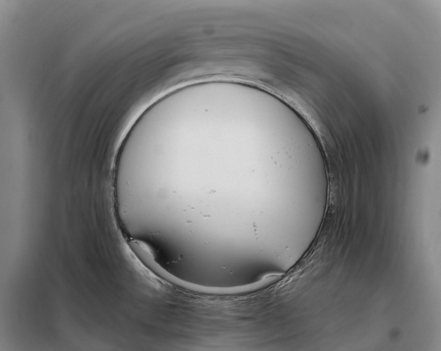 X0000098021532200804251126