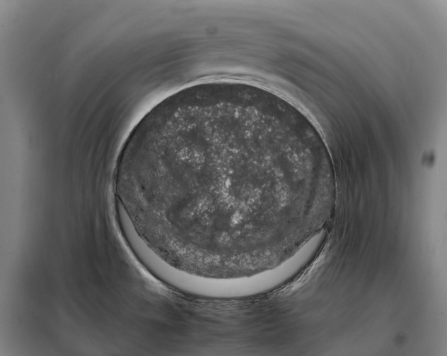 X0000098021533200804251126
