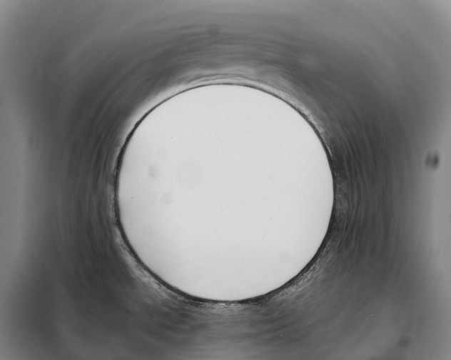 X0000098021534200804251126