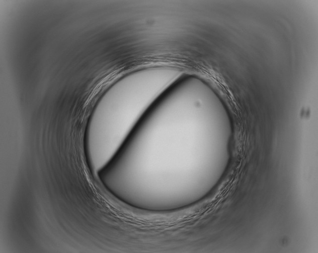 X0000098030001200803280742