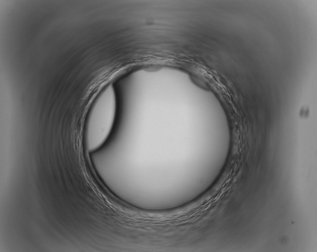 X0000098030002200803280742