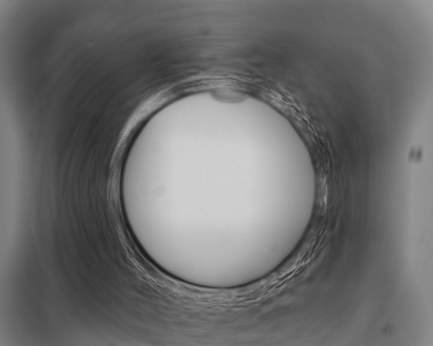 X0000098030004200803280742