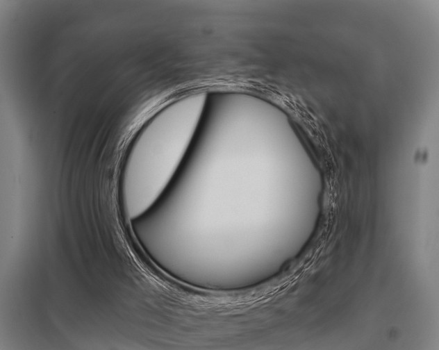 X0000098030005200803280742