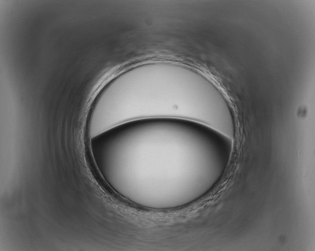 X0000098030007200803280742