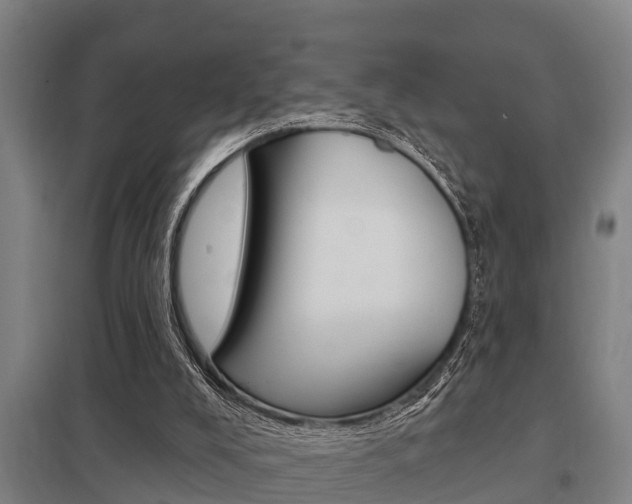 X0000098030008200803280742