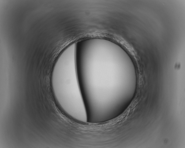 X0000098030009200803280742