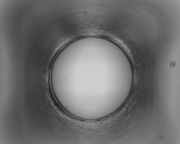 X0000098030010200803280741