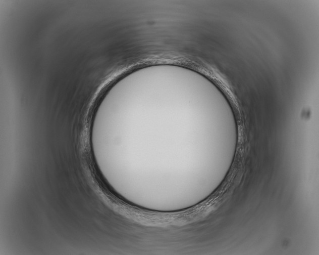 X0000098030012200803280741
