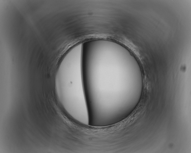 X0000098030013200803280741