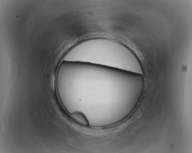 X0000098030014200803280741