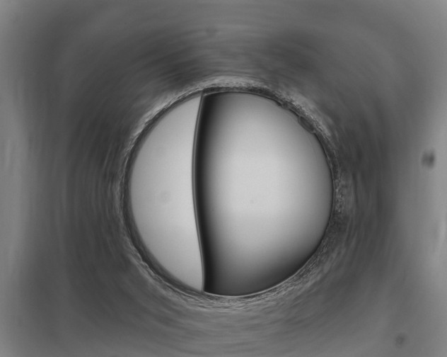 X0000098030015200803280741