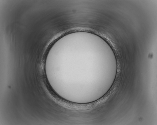 X0000098030016200803280741