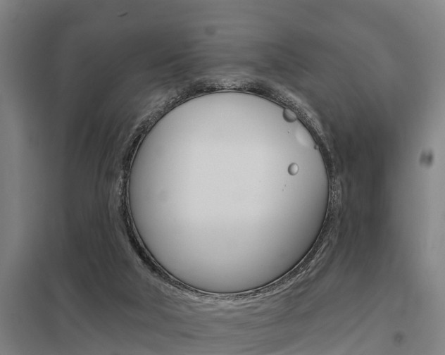 X0000098030018200803280741