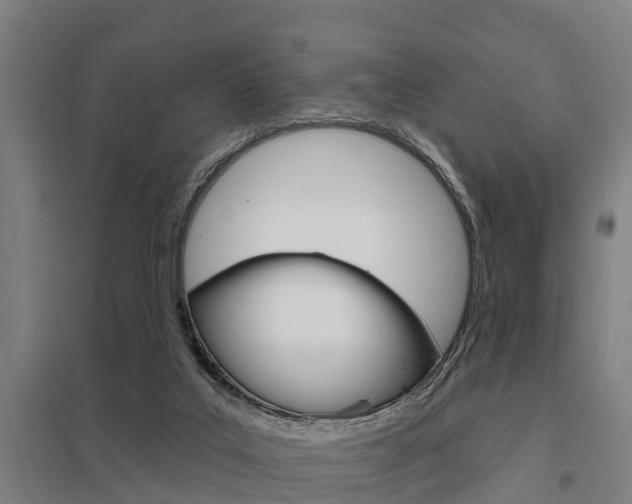 X0000098030019200803280741