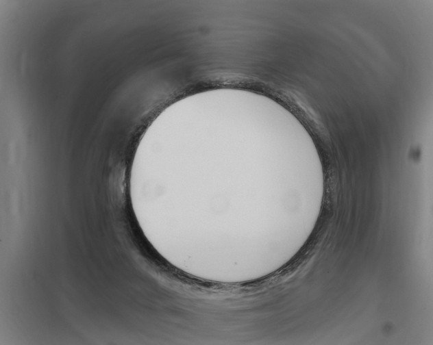 X0000098030024200803280741