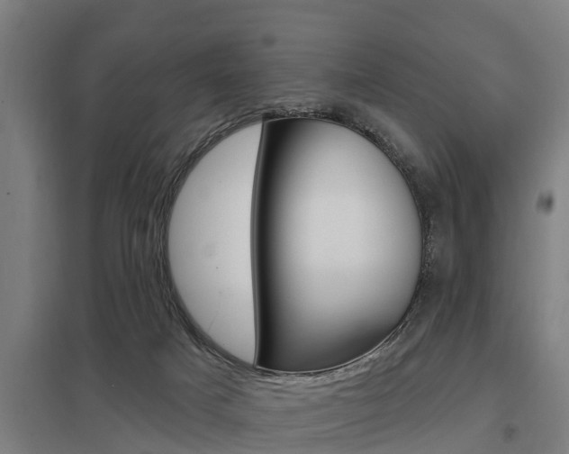 X0000098030025200803280741