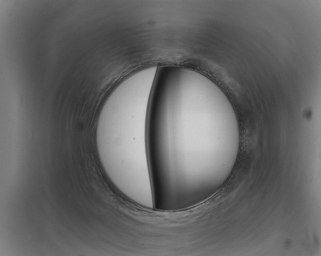 X0000098030027200803280741