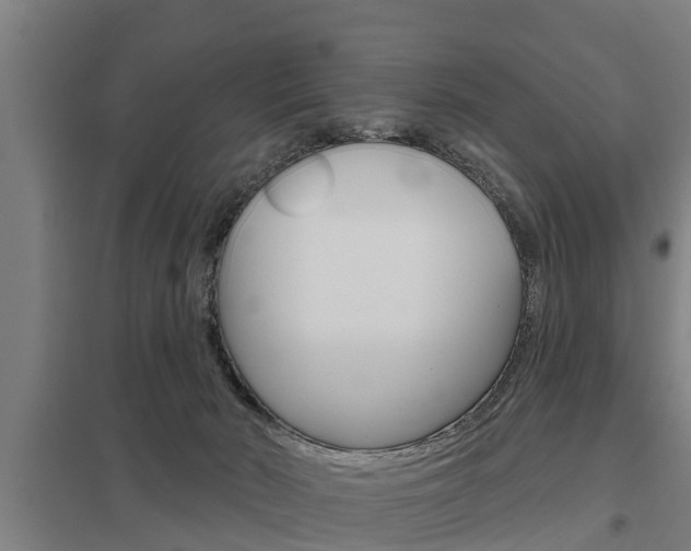 X0000098030030200803280741