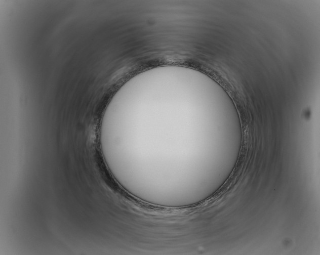X0000098030032200803280741