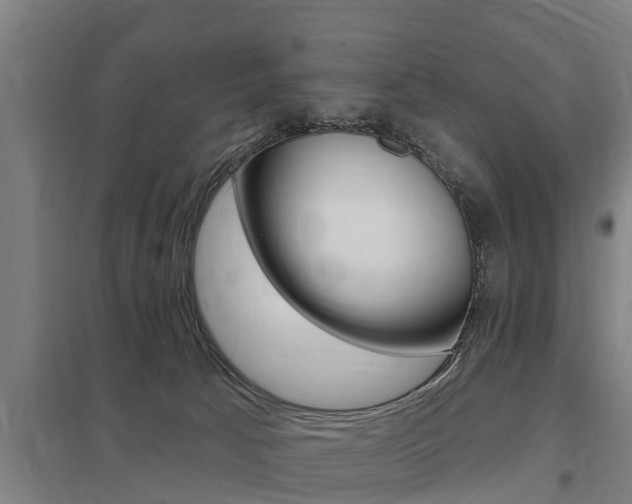 X0000098030033200803280741