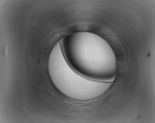 X0000098030035200803280741