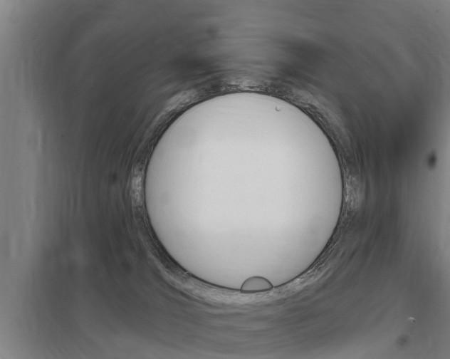 X0000098030036200803280741