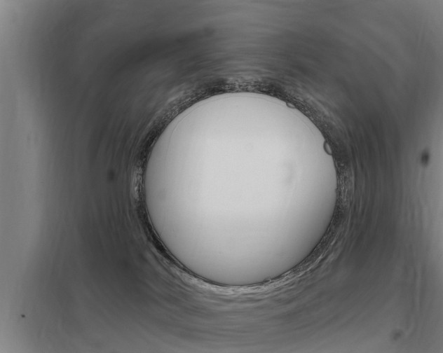 X0000098030038200803280741