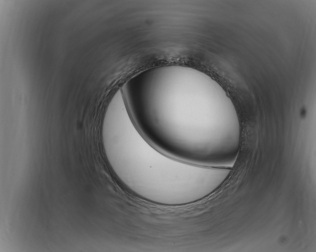 X0000098030039200803280741