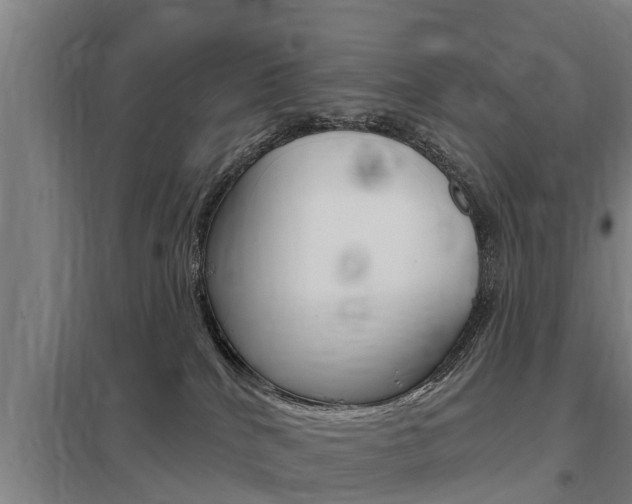 X0000098030040200803280741