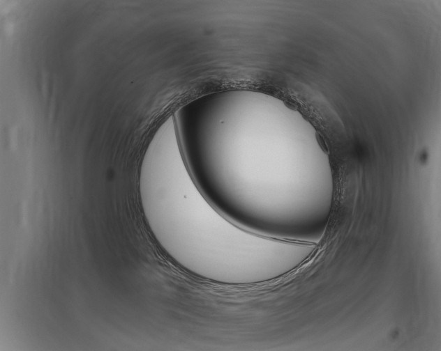 X0000098030041200803280741