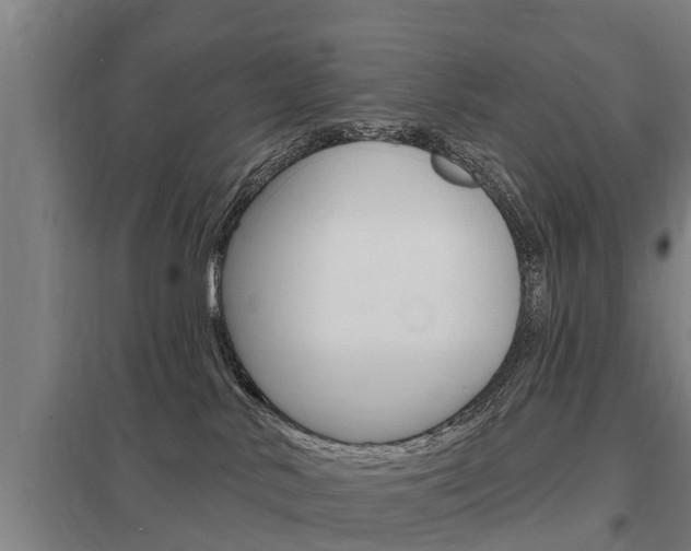 X0000098030042200803280741