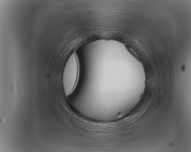 X0000098030044200803280741