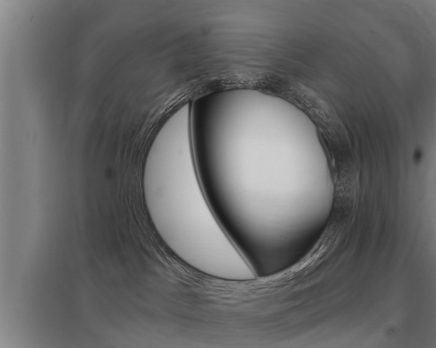 X0000098030045200803280741