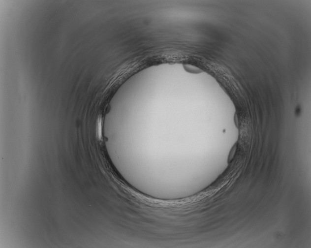 X0000098030046200803280741