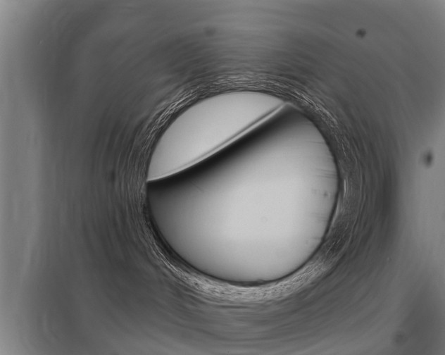 X0000098030048200803280741