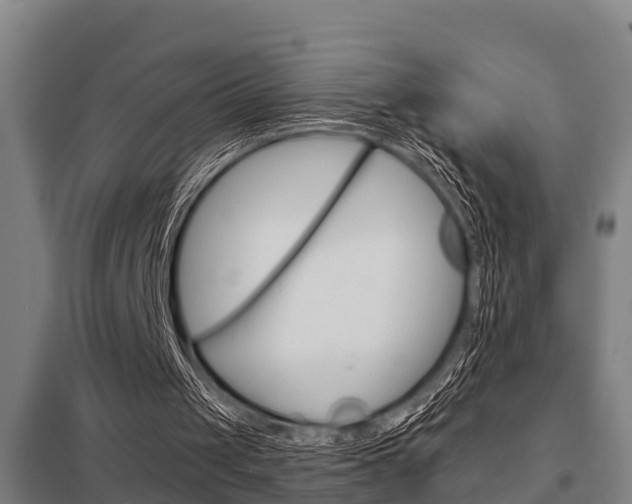X0000098030049200803280740