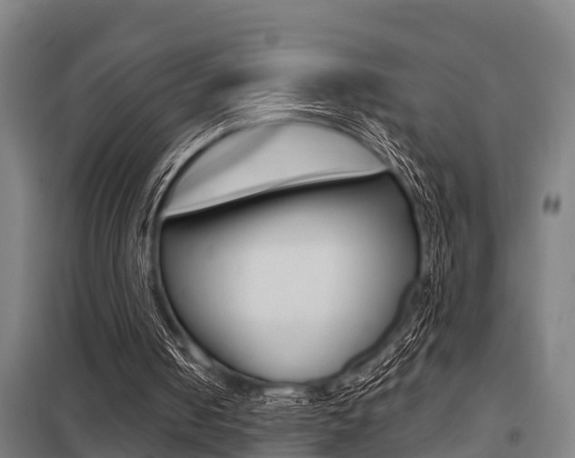 X0000098030050200803280740