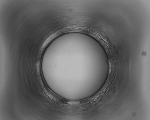 X0000098030051200803280740