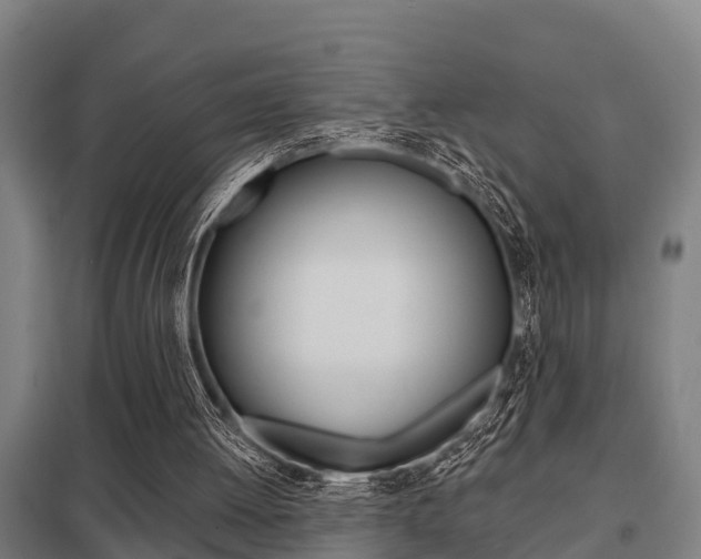 X0000098030052200803280740