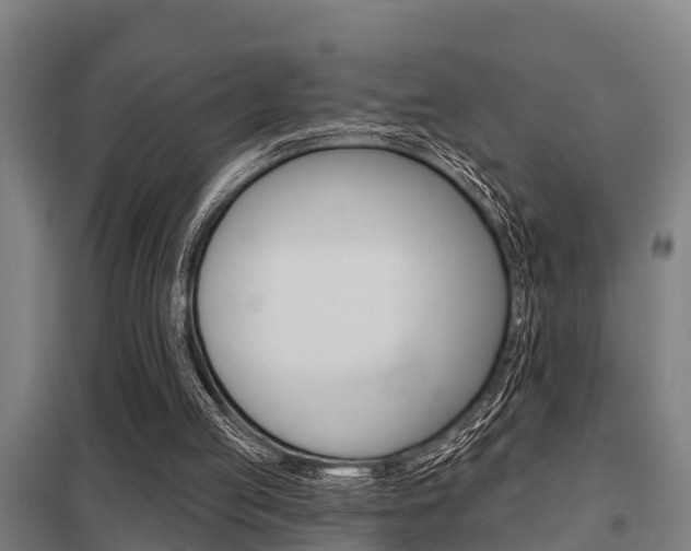 X0000098030053200803280740