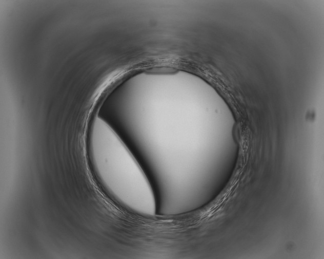 X0000098030054200803280740
