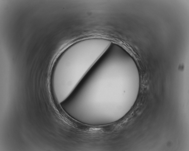 X0000098030055200803280740