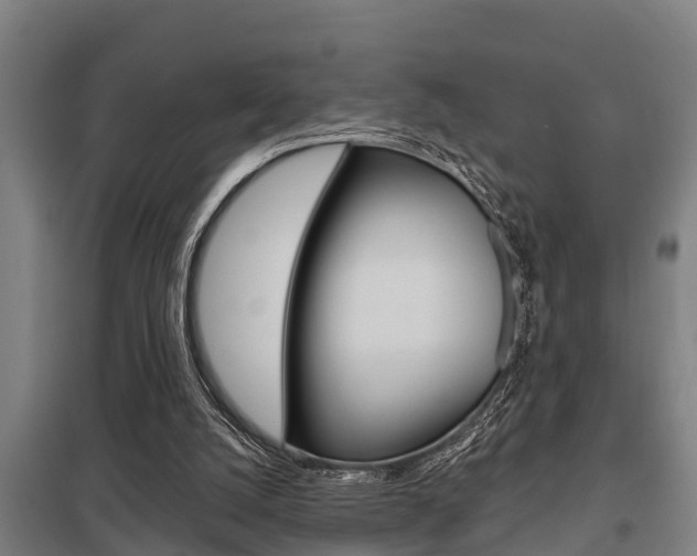 X0000098030056200803280740