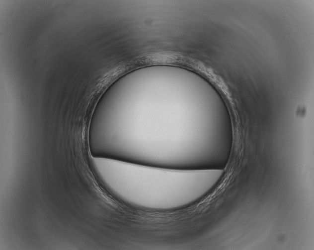 X0000098030057200803280740