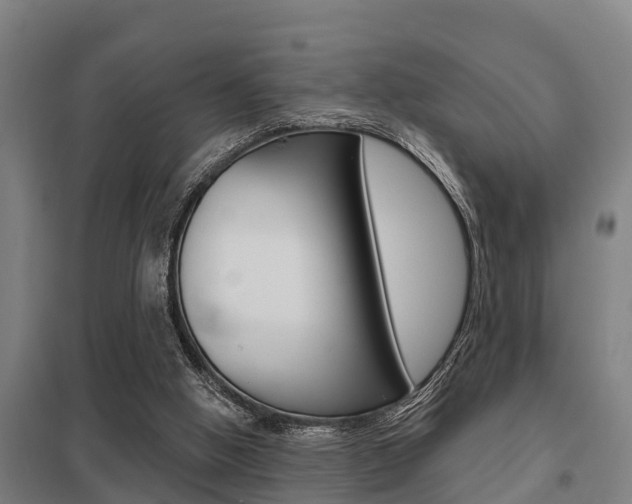 X0000098030058200803280740