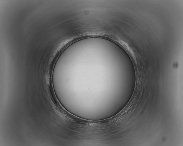 X0000098030060200803280740