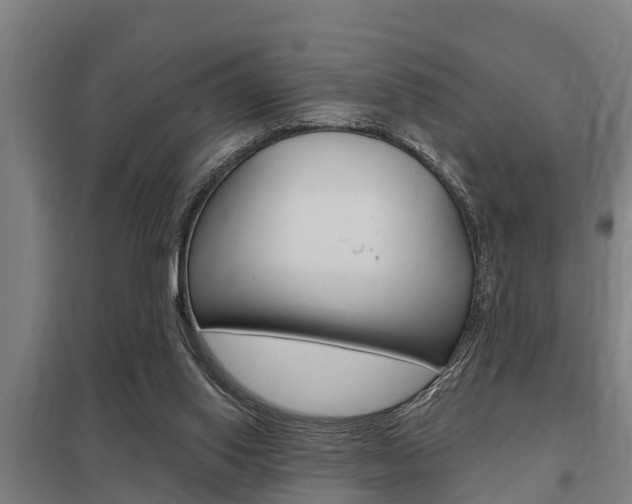 X0000098030062200803280740