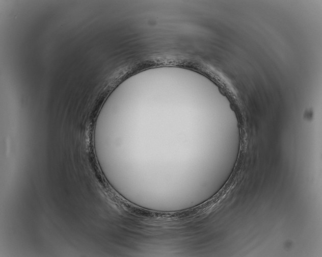 X0000098030065200803280741