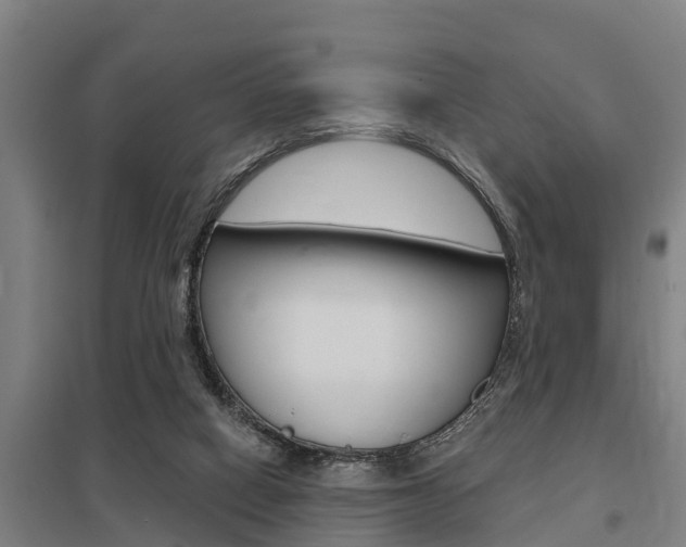 X0000098030066200803280741